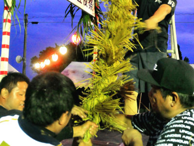 十五夜「綱かき」　青年パワーが伝統けん引