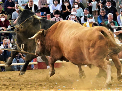 「威風神威」５度目防衛