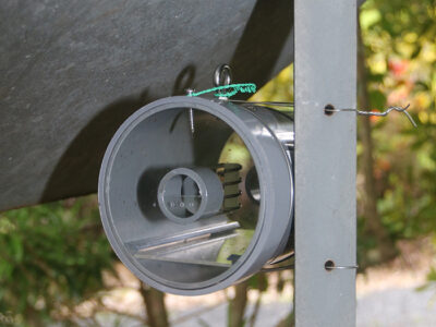 強力な誘引剤なし