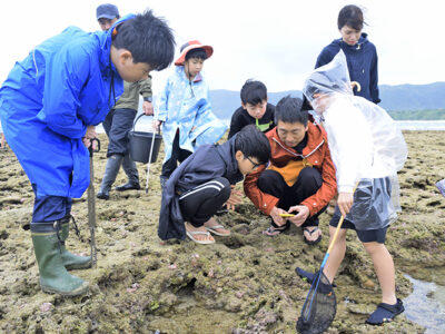 リーフで海の生物探索