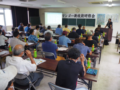 マンゴー生産新技術研修会