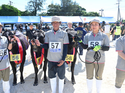 大島地区肉用牛振興大会