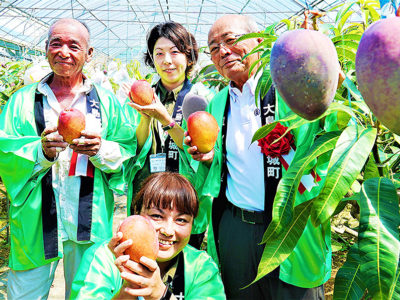 「天城町マンゴー」出発式