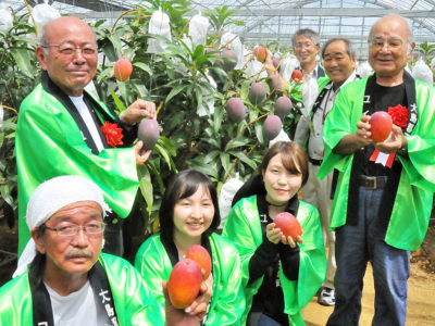 天城町産マンゴー出発式