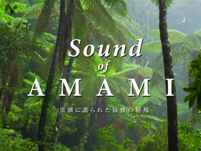 奄美ＰＲ動画　ネット上で配信