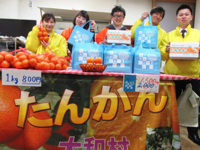 甘くておいしい大和村産タンカンＰＲ