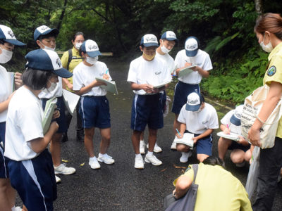 村の自然、詳しく理解