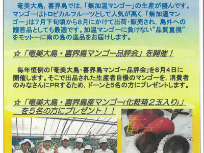 奄美新聞読者プレゼント