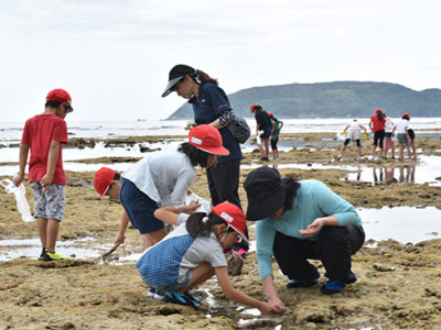 海の生物観察、貝取り楽しむ