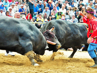 全国闘牛サミット記念大会