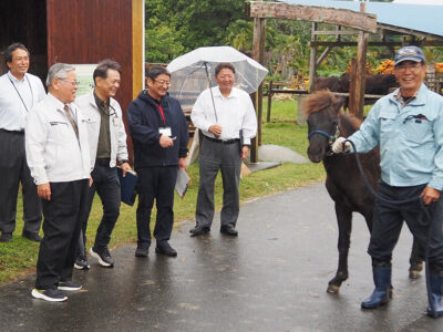 午年の吉報に期待