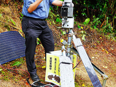 ミリ波レーダーでロードキル防止へ