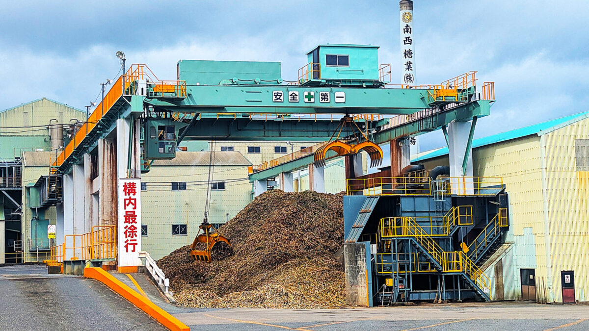 徳之島きび　19万㌧台「豊作」型に上方修正