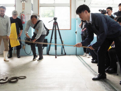 ハブから島民を守れ！