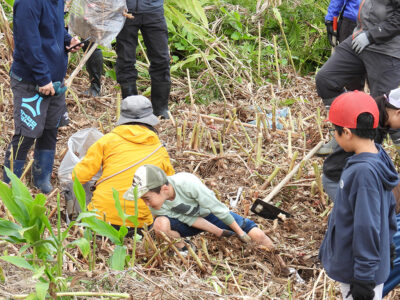 外来種駆除の困難さ体感