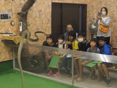 〝毒打つ〟ハブとの共存学ぶ