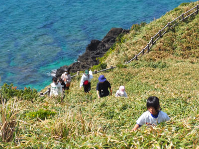 宮古崎つつじウォーク