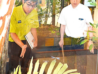 中野国交相が徳之島初視察