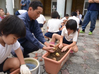 「花の島沖永良部フラワースクール」