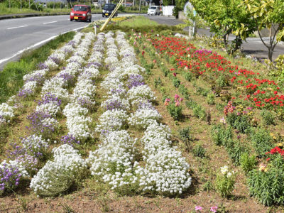 花咲き乱れ、心和む季節