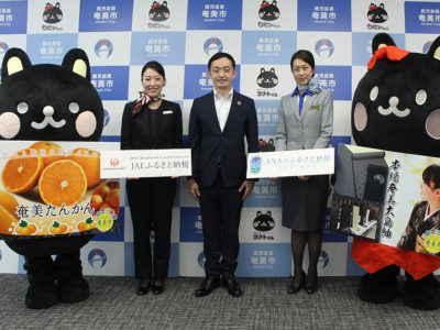 奄美市ふるさと納税