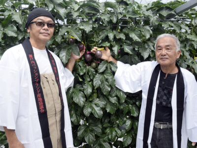 瀬戸内町で収穫式