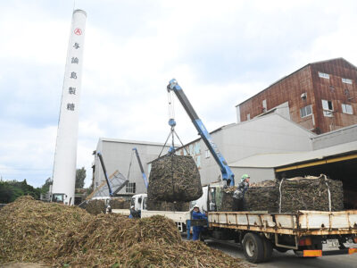 与論島製糖　８期連続の年内操業