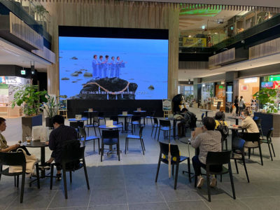 動画で世界自然遺産ＰＲ