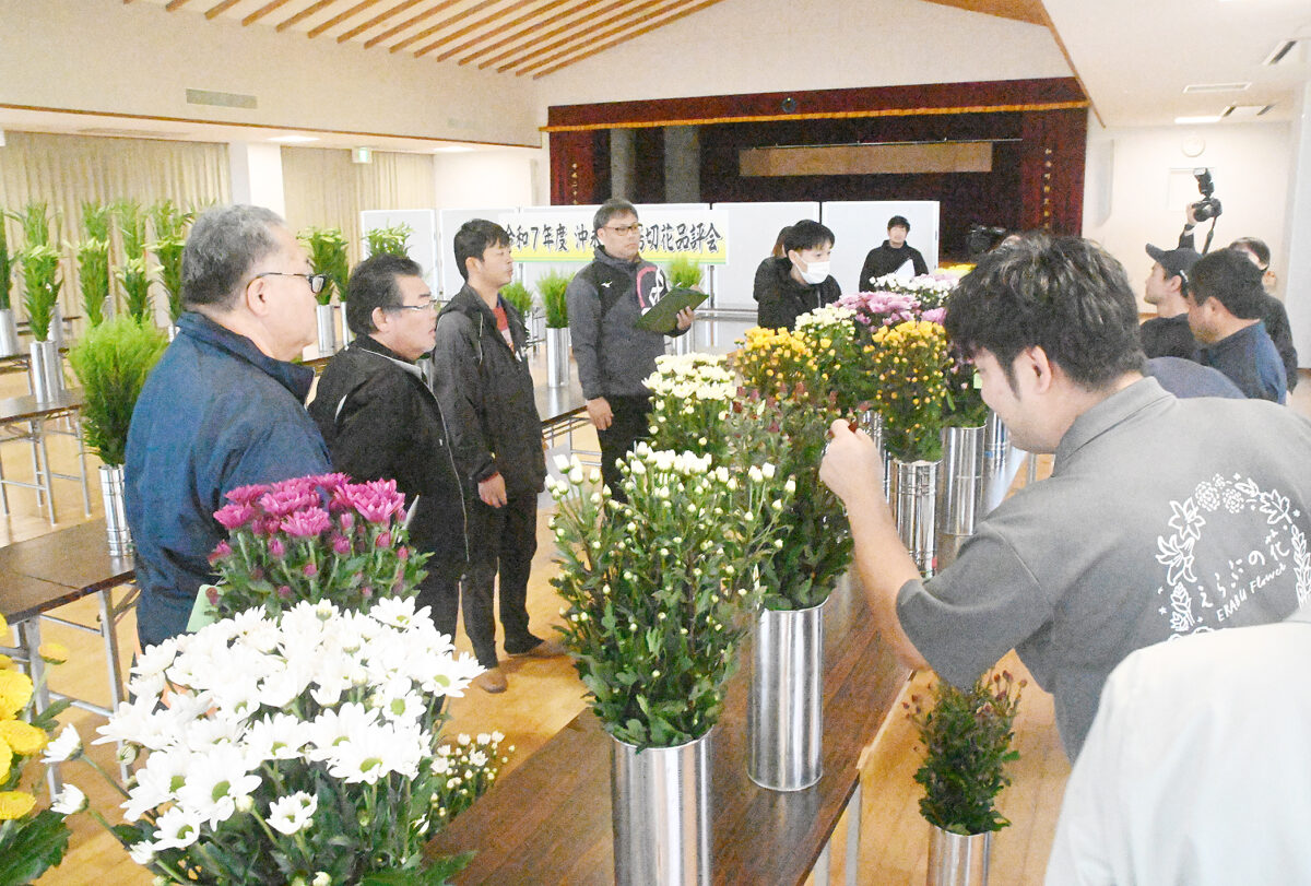 沖永良部島切花品評会