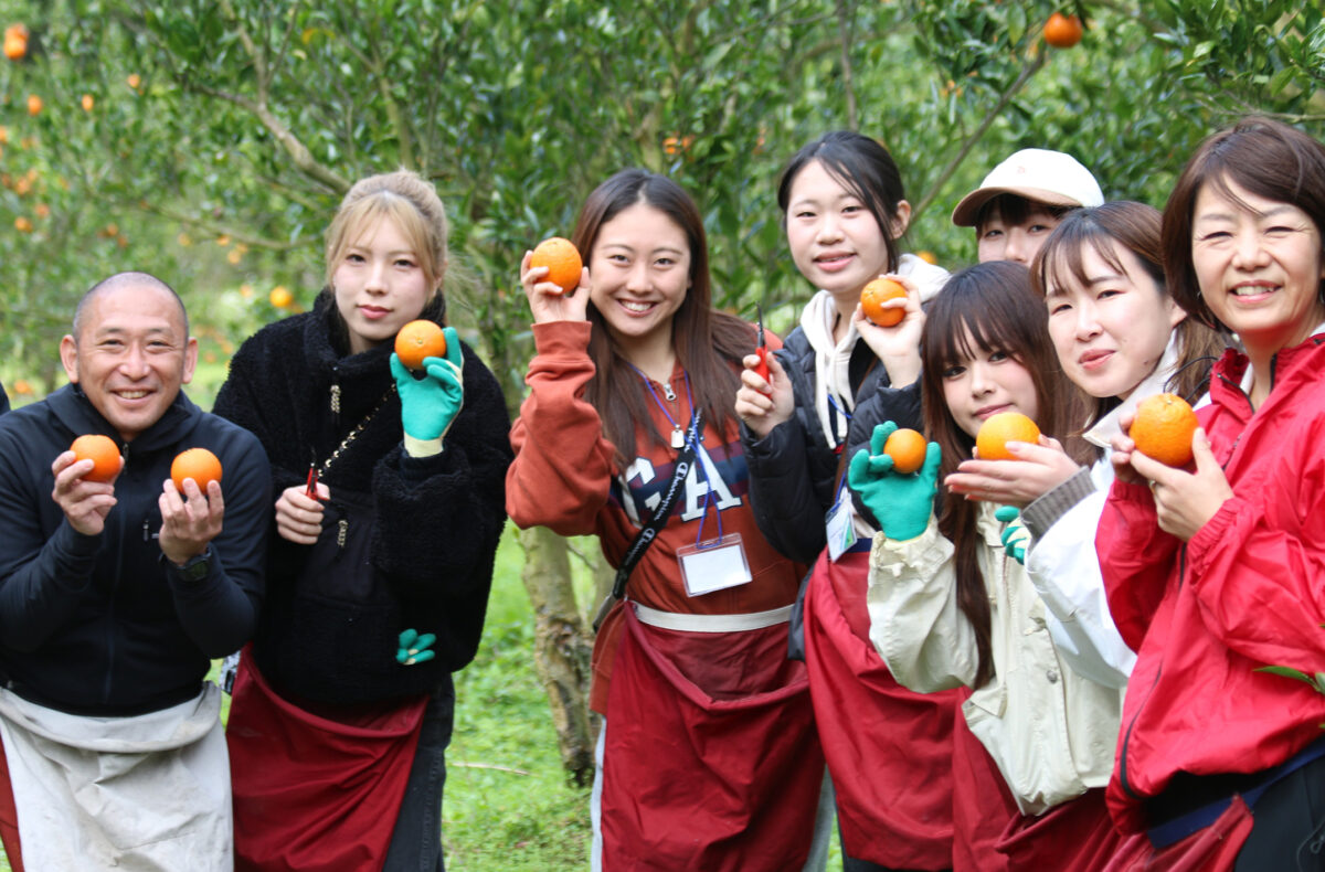 タンカン収穫など産業体験、人々との交流も