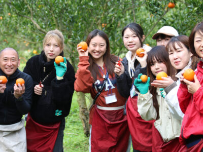 タンカン収穫など産業体験、人々との交流も