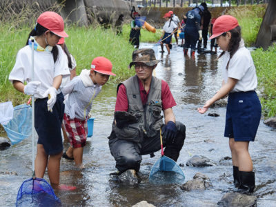 幻のリュウキュウアユ探せ！