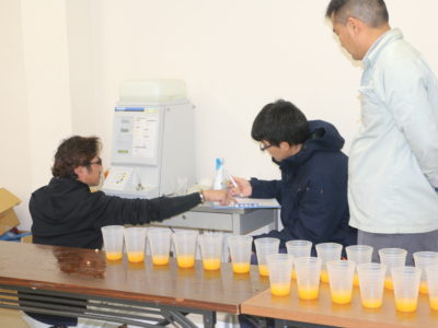 ＪＡタンカン果実分析結果