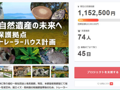 クラファンで保護ネコシェルター