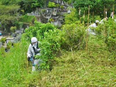 旧盆前に永田墓地清掃