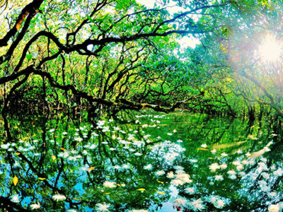 100万人に奄美アピール