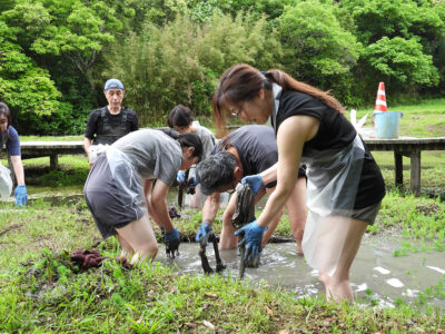 大島紬企画展控え、泥染め体験