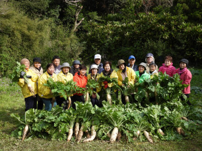 「アッタドコネ」最後の収穫