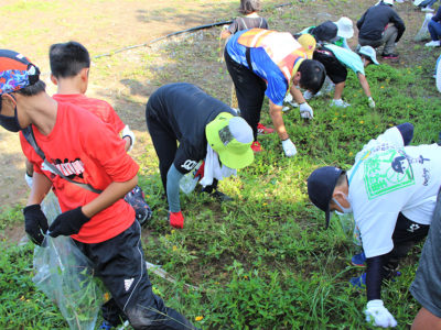 地域みんなで外来種駆除