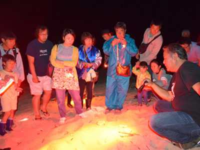 ウミガメミーティング