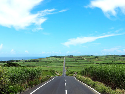 相続未登記農地の貸出制度