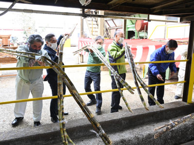 群島内でトップ南栄糖業が操業開始　