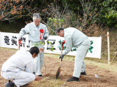 龍郷町で群島植樹祭