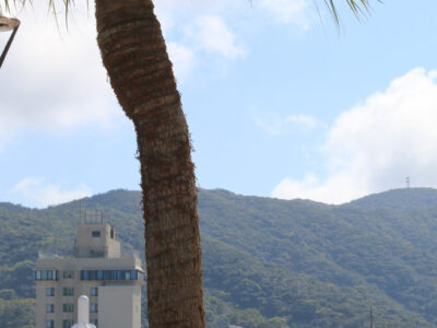 奄美地方　今年初の「夏日」