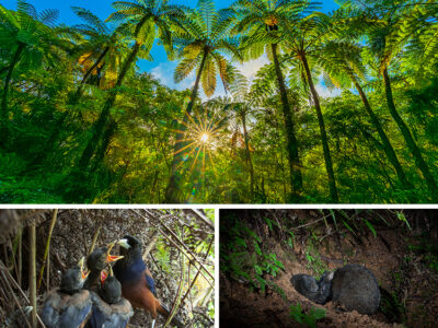 〝神秘の森〟対峙し45年