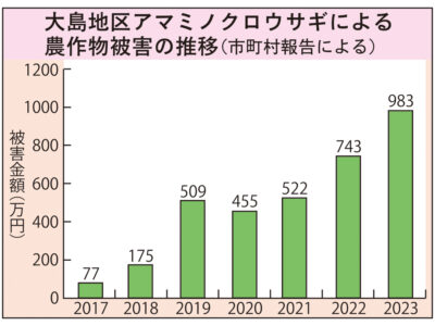 クロウサギ農作物被害年々増加