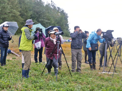 笠利町大瀬海岸で探鳥会
