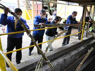 南栄糖業が操業開始