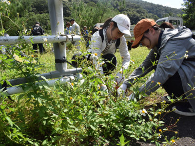 参加型防除活動の可能性検証