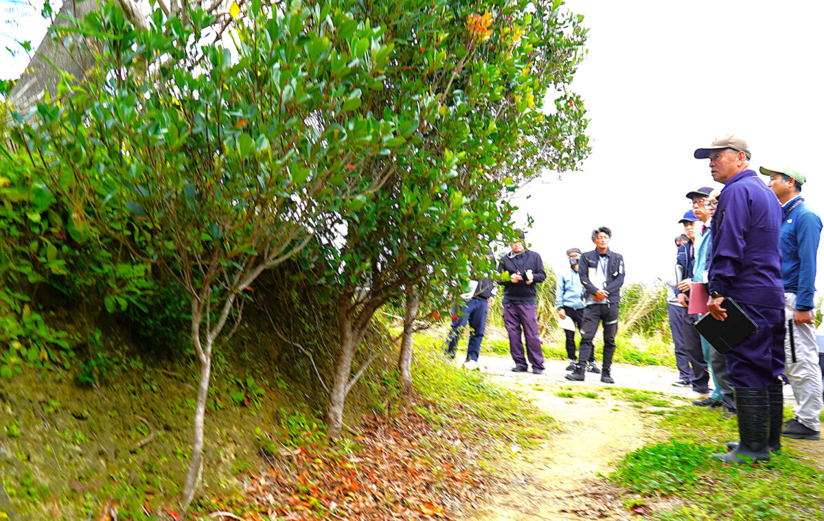 赤土流出防止へ連携強化